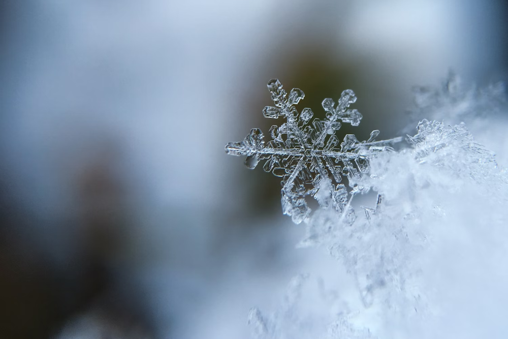 Important Information Regarding Claims for Winter Weather Impacting Texas